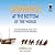 Shipwreck at the Bottom of the World: The Extraordinary True Story of Shackleton and the Endurance