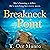 Breakneck Point (The CSI Ally Dymond series, Book 1)