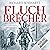 Fluchbrecher (Die Eisraben-Chroniken, #1)