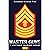 Master Guns