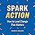 Spark Action: How to Lead Change That Matters