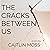 The Cracks Between Us: A Novel