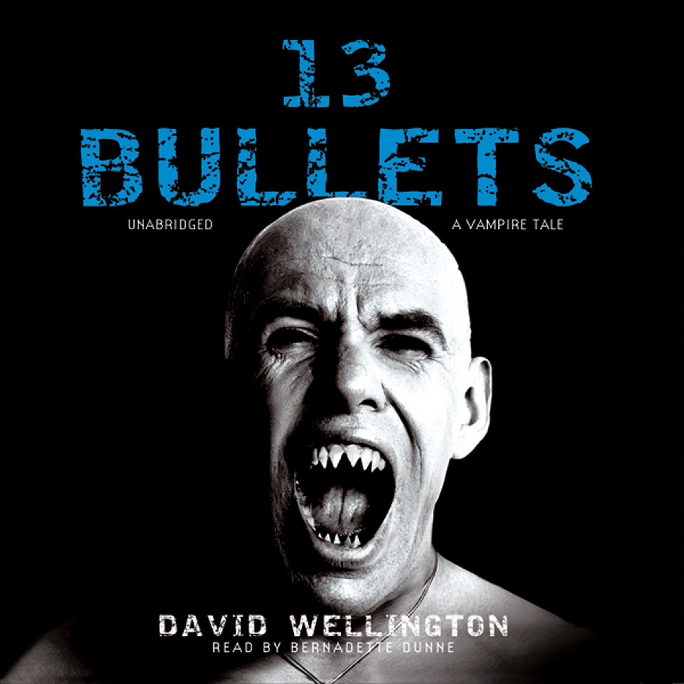 13 Bullets: A Vampire Tale