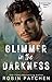 Vanished in the Darkness (Coventry Saga)