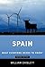 Spain: What Everyone Needs to Know®