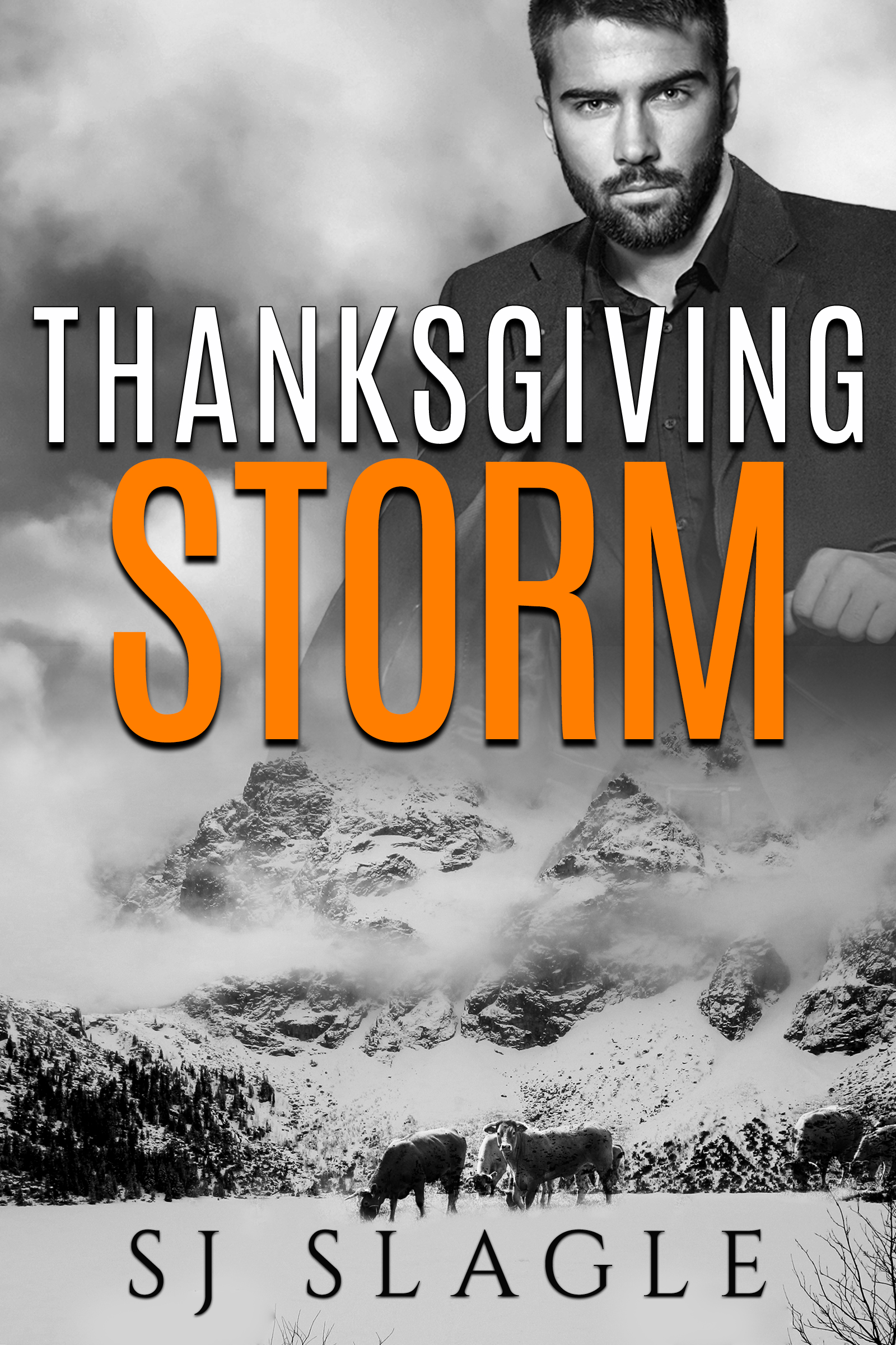 Thanksgiving Storm (ebook)