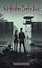 Not Another Zombie Book by D.B. Randelia