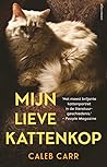 Mijn lieve kattenkop