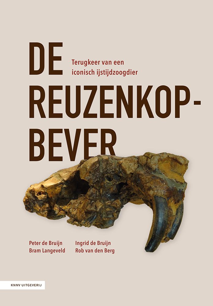 De reuzenkopbever: Terugkeer van een iconisch ijstijdzoogdier