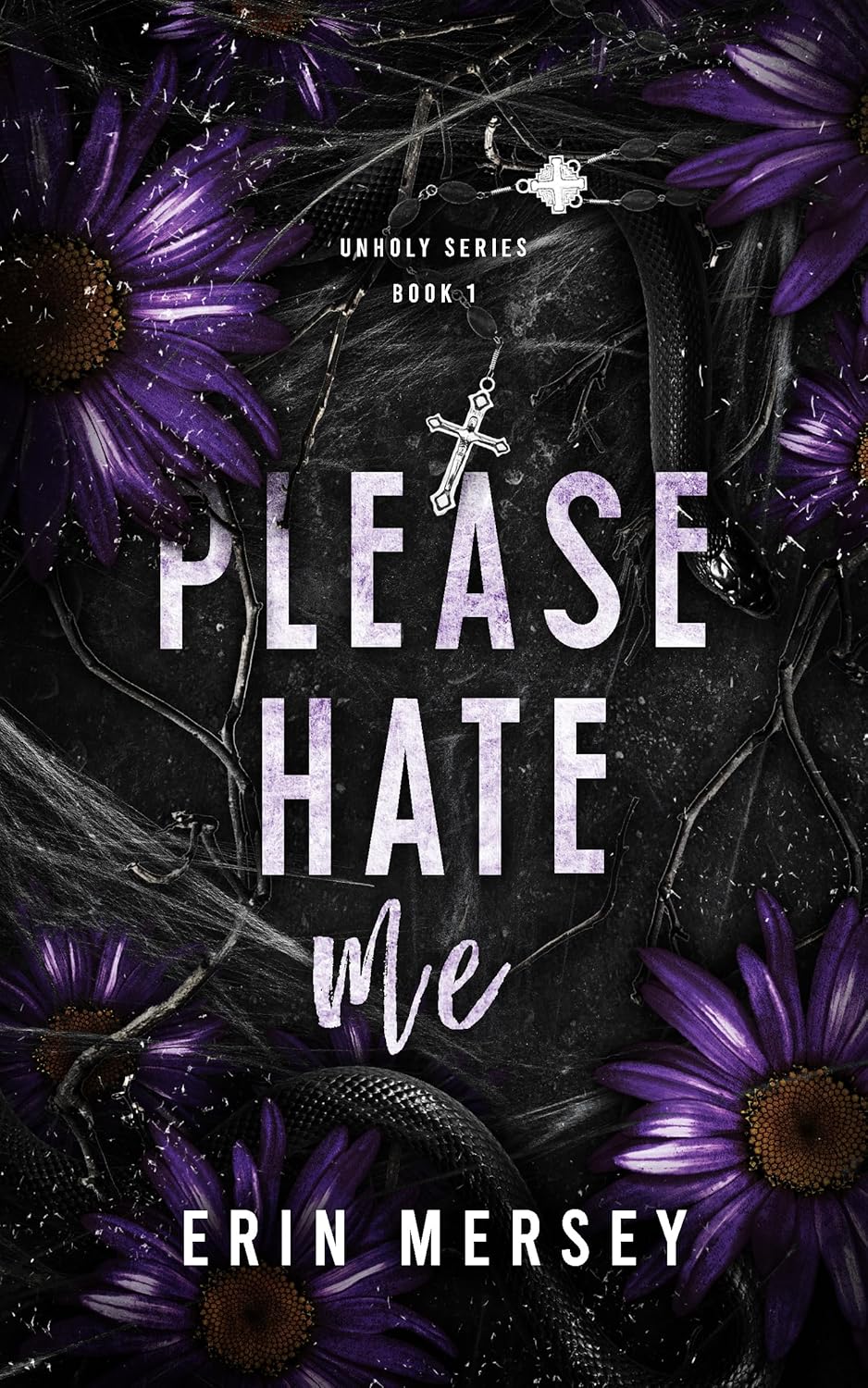 Please Hate Me (The Unholy, #1)