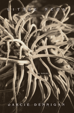 Little Neck (Paperback)