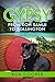Gypsy by Bob Cooper