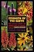 Strength of the Earth: The Classic Guide to Ojibwe Uses of Native Plants