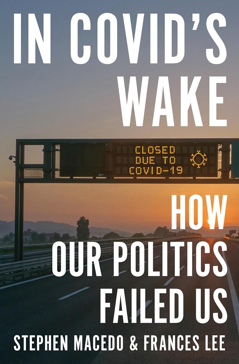 In Covid's Wake: How Our Politics Failed Us (Hardcover)