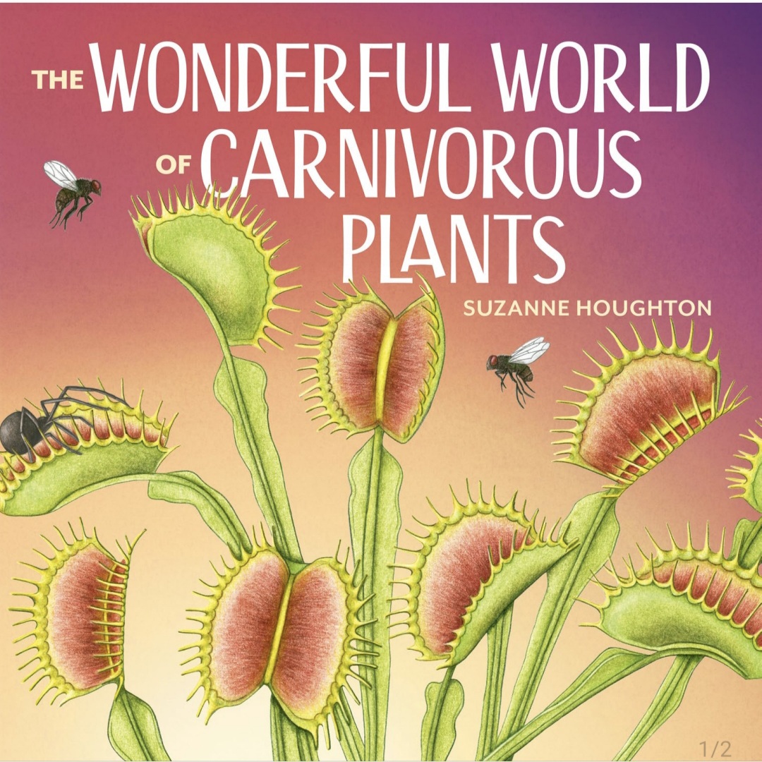 The Wonderful World of Carnivorous Plants (Hardcover)