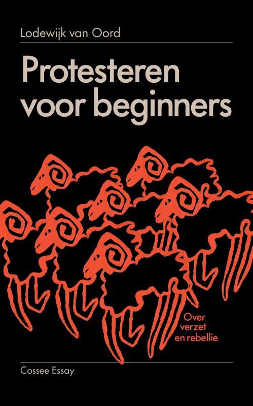 Protesteren voor beginners. Over verzet en rebellie