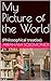 My Picture of the World by Abraham Solomonick