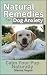 Natural Remedies For Dog An...