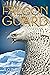 Falconguard (Falconsaga #2)