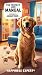 The Perfect Life Manual (According to a Golden Retriever - Ha... by Gab Grandley
