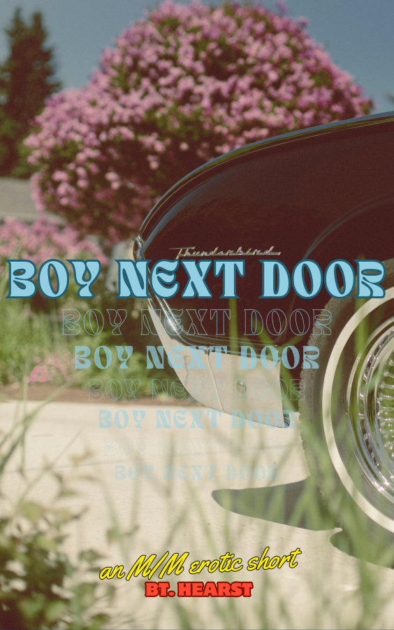 Boy Next Door (ebook)