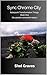 Sync Chrome City: Solarpunk...