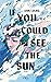 If you could see the sun