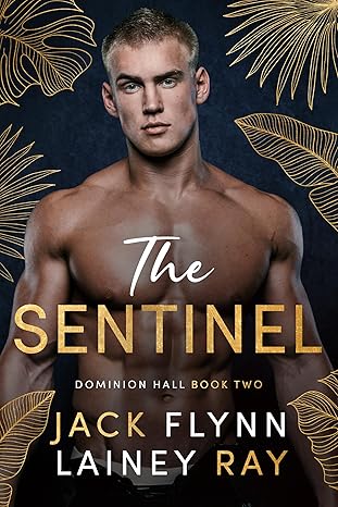 The Sentinel: A Dark Billionaire Military Romance (Dominion Hall Book 2)