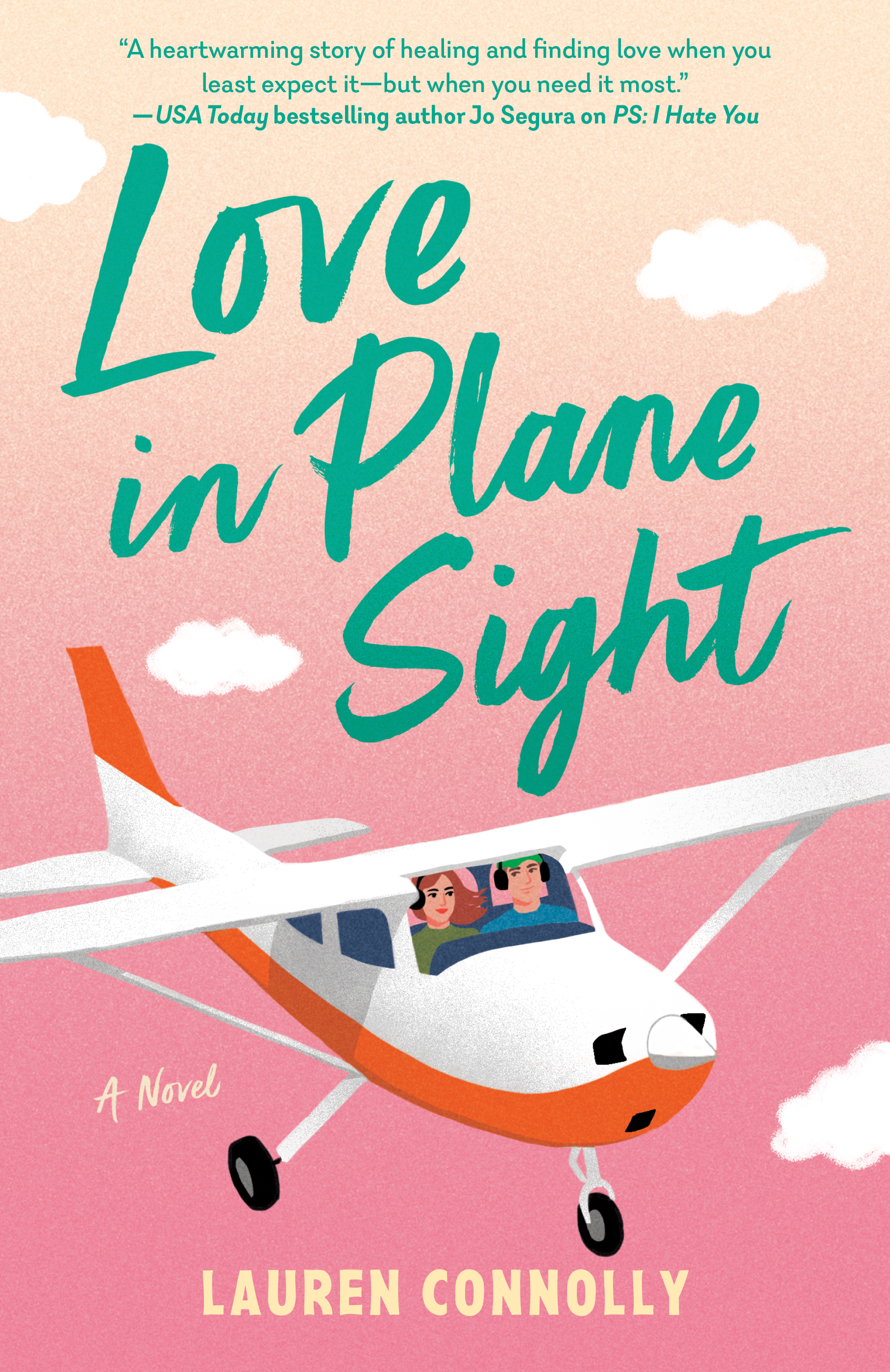 Love in Plane Sight (Paperback)