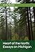 Heart of the North by ANDY REVEN