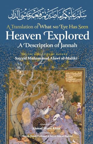Heaven Explored (Paperback)