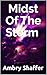 Midst Of The Storm