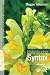Understanding Syntax (Understanding Language)