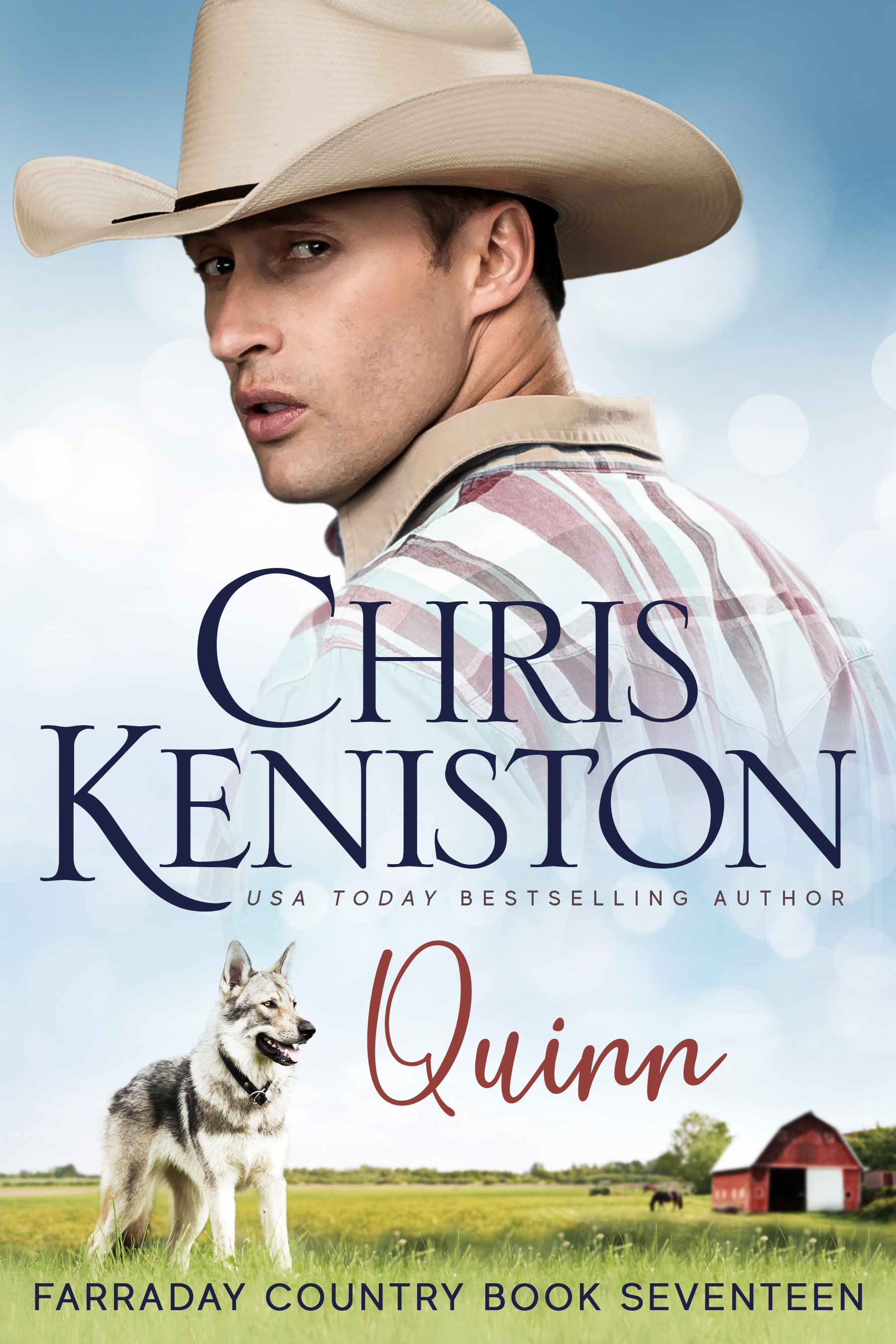 Quinn (Paperback)