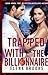 Trapped with the Billionaire by Elena Brooks