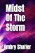 Midst Of The Storm