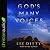God's Many Voices Lib/E: Le...