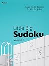 Little Big Sudoku...