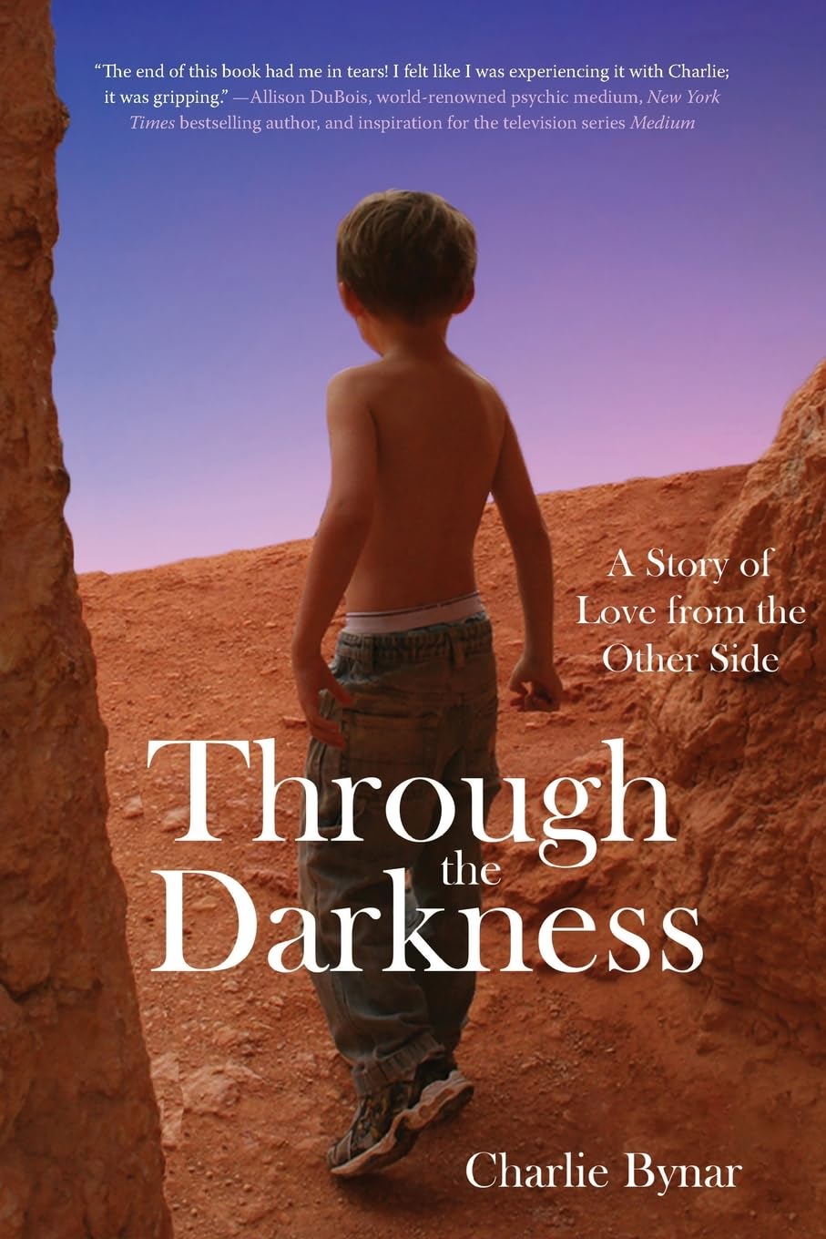 Through the Darkness: A Story of Love from the Other Side (Paperback)
