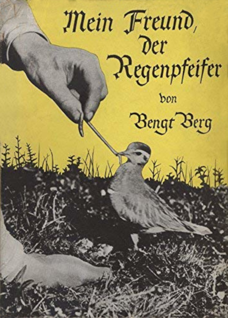 Mein Freund, der Regenpfeifer (Hardcover)
