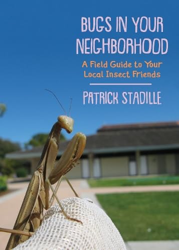 Bugs in Your Neighborhood: A Field Guide to Your Local Insect Friends (Paperback)