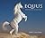 Equus 2009 Wall Calendar