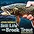 Still Life with Brook Trout...