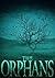 The Orphans (Ein fesselndes paranormales Mysterium 4) (German Edition)
