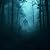 Floresta sombria : Blogs su...