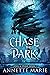 Chase the Dark (Steel & Stone Book 1)