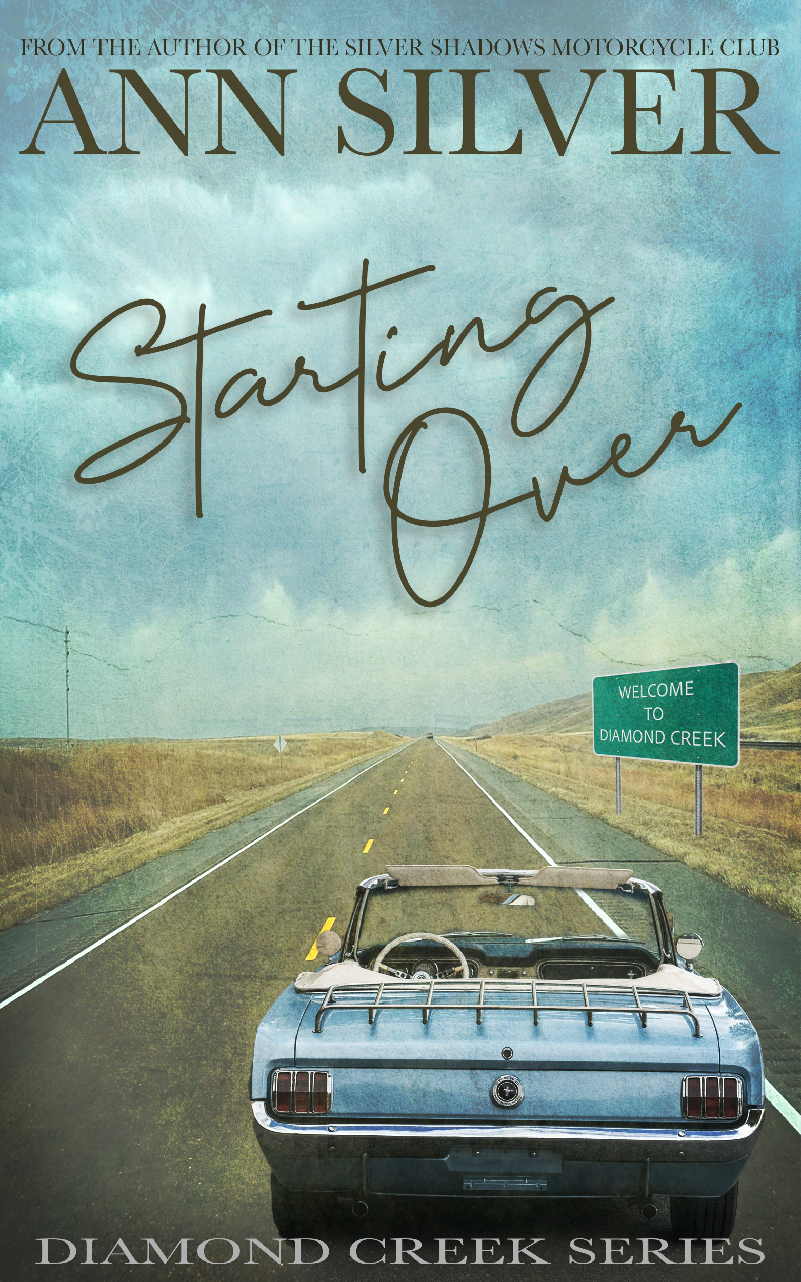 Starting Over (Diamond Creek #1)