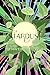 Of Stardust: Lore reshaped