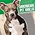 American Pit Bulls 2014 Cal...