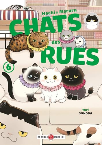 Hachi & Maruru - Chats des rues - vol. 06